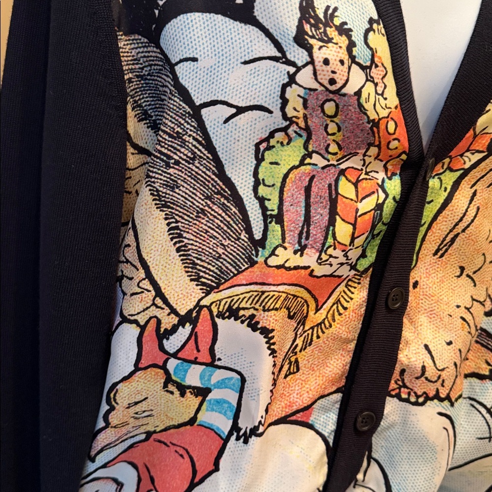 Lanvin x Little Nemo in Slumberland Silk & Wool Cardigan - XS - Picture 7 of 10